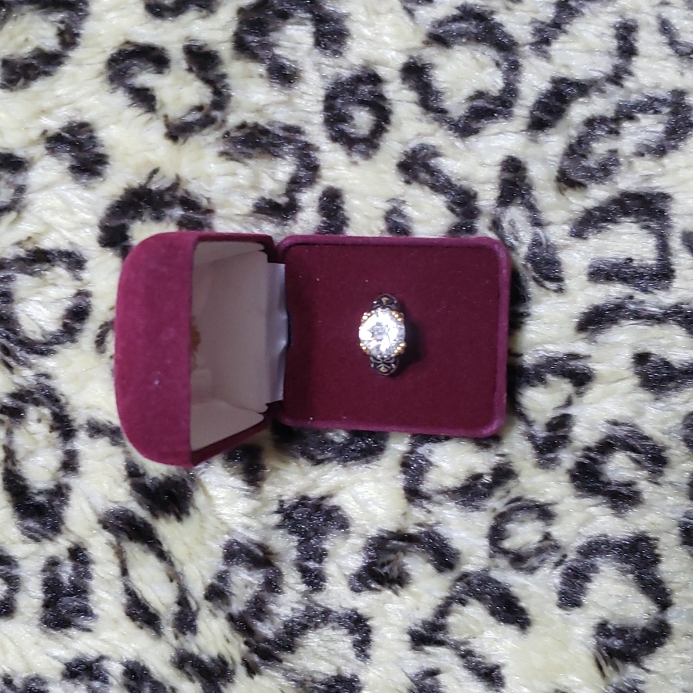 Premier Designs Silver and Goldtone Ring